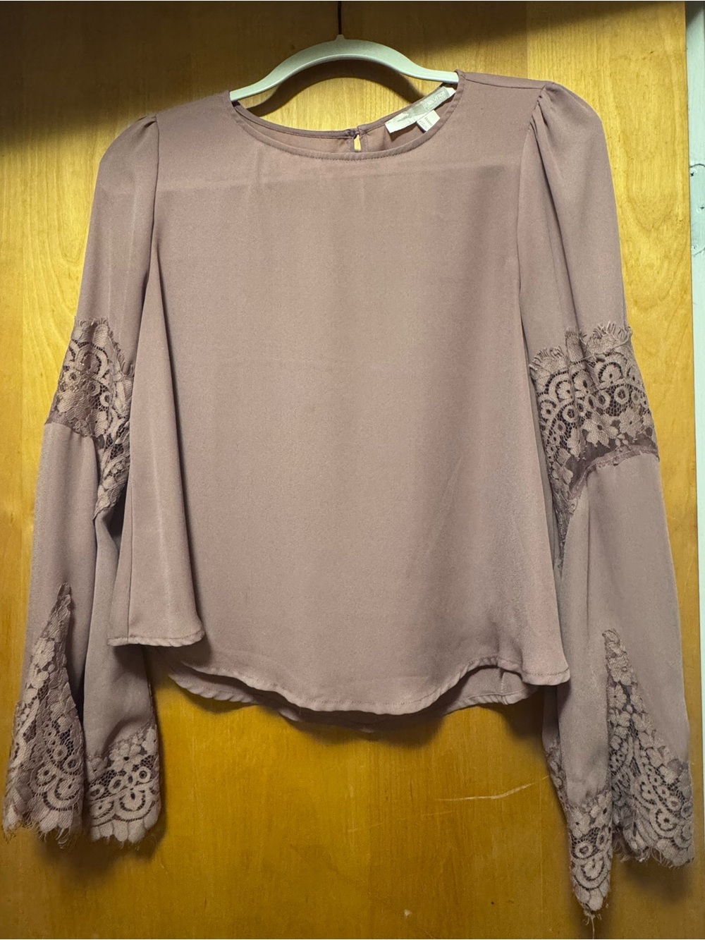 Forever 21 Mauve Lace-Sleeve Blouse